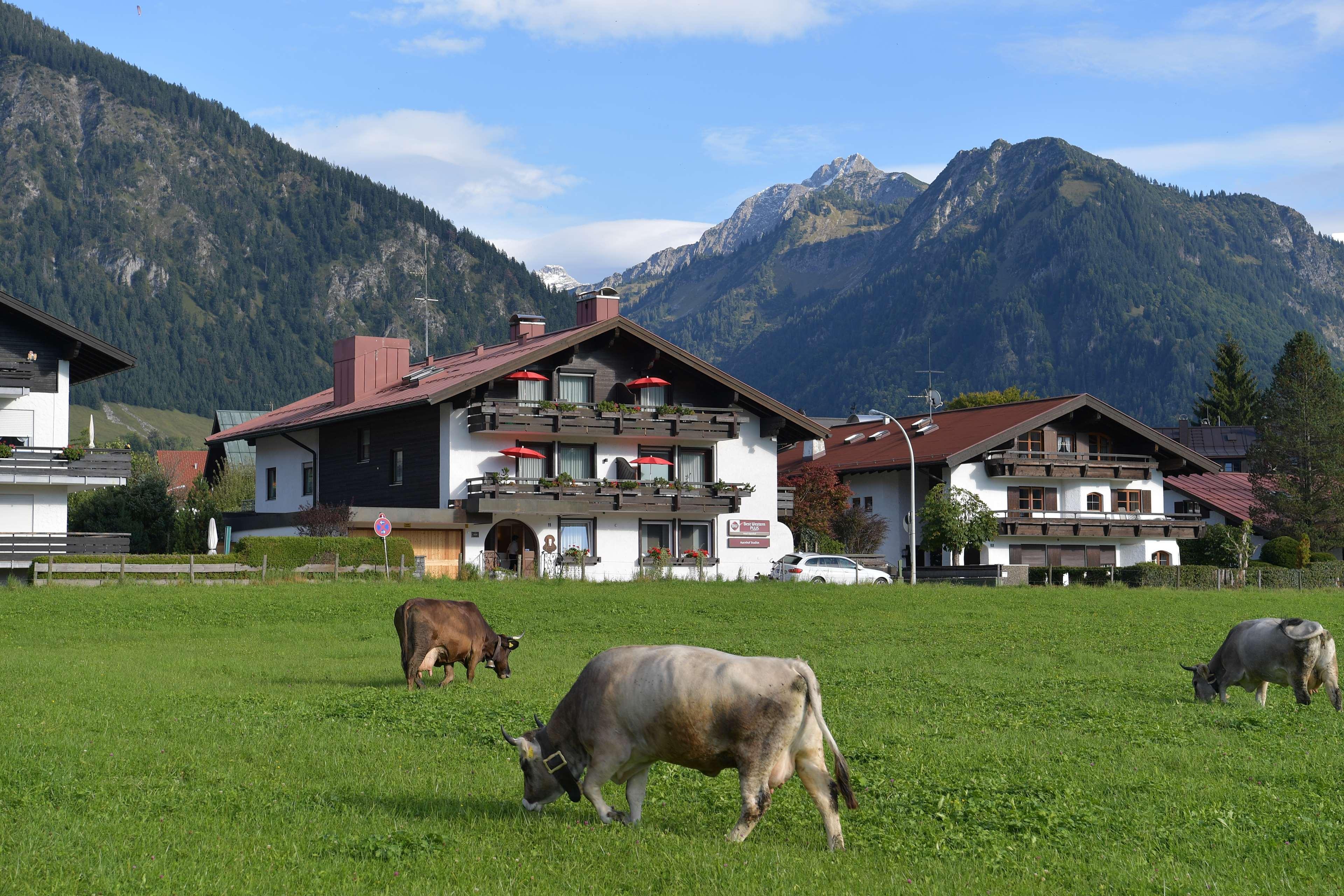 Best Western Plus Hotel Alpenhof Oberstdorf Exterior foto