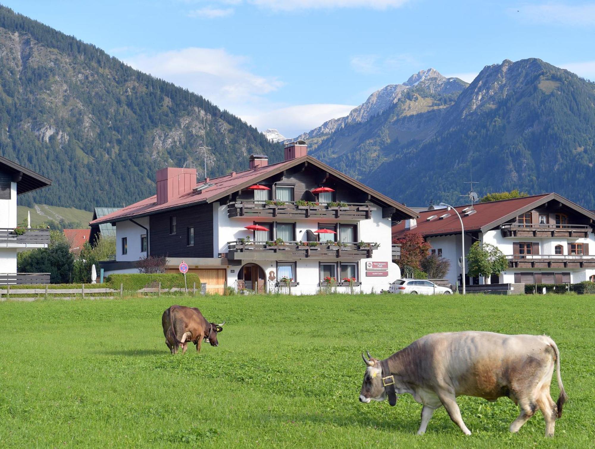 Best Western Plus Hotel Alpenhof Oberstdorf Exterior foto