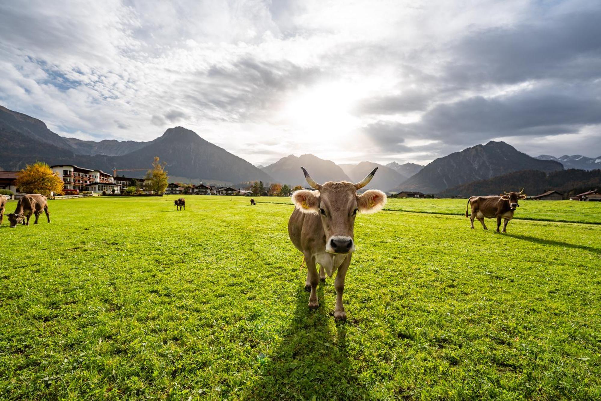 Best Western Plus Hotel Alpenhof Oberstdorf Exterior foto